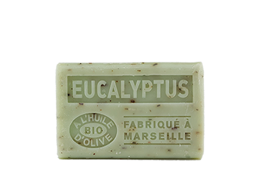 Savon eucalyptus